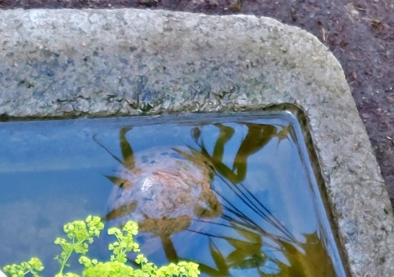Alingsås Flora Dekor Gaestgard 게스트하우스 외부 사진